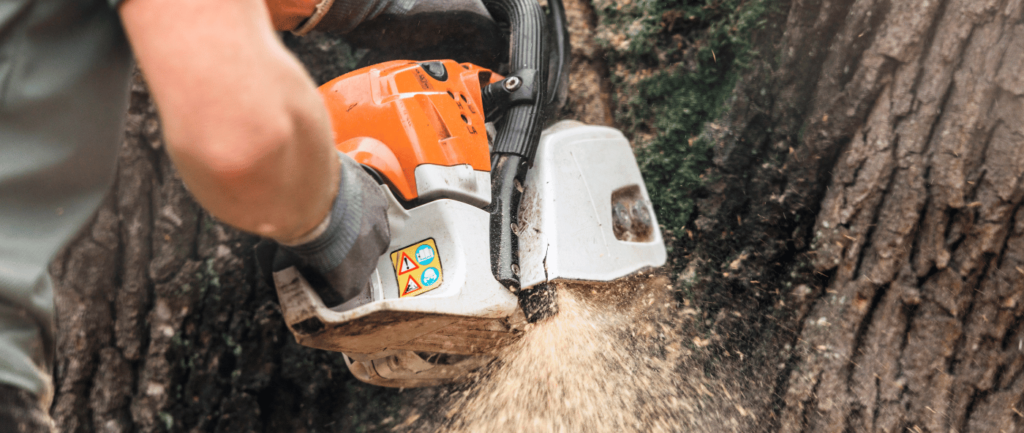 arborist using a chain saw to remove a tree in Meridian, ID