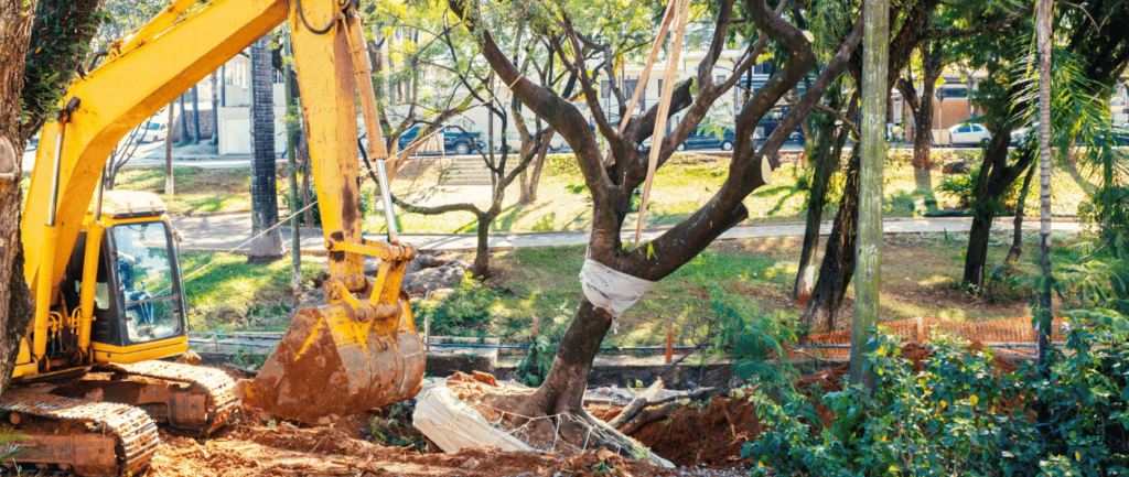 Tree being removed by a backhoe in Middleton, ID